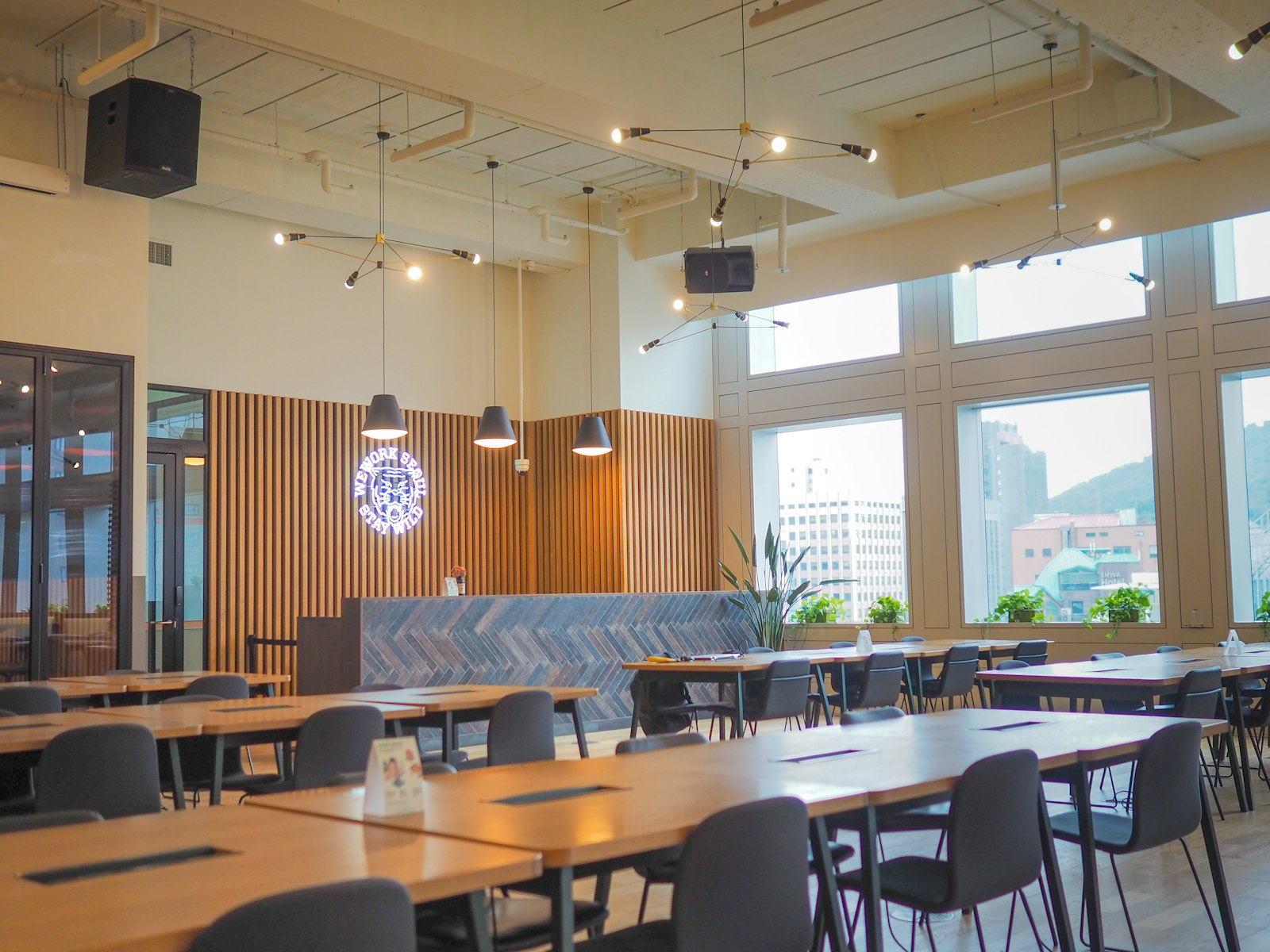 Biophilic Office Design: Plants, Light, and What Actually Helps