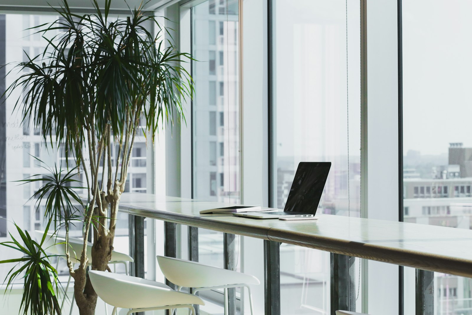 Choosing an Office Color Palette That Still Looks Right in Five Years