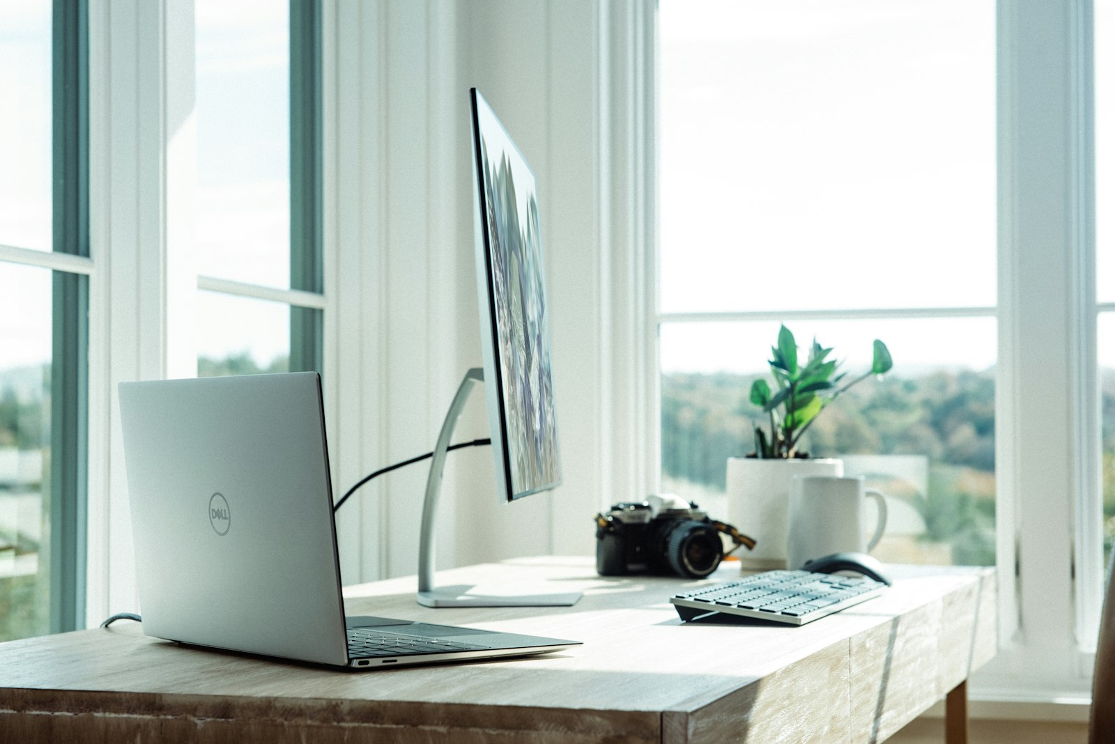 Standing Desks